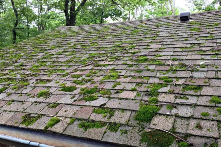 algae-resistant-and-algae-retardant-roofing-shingles-algae-resistant